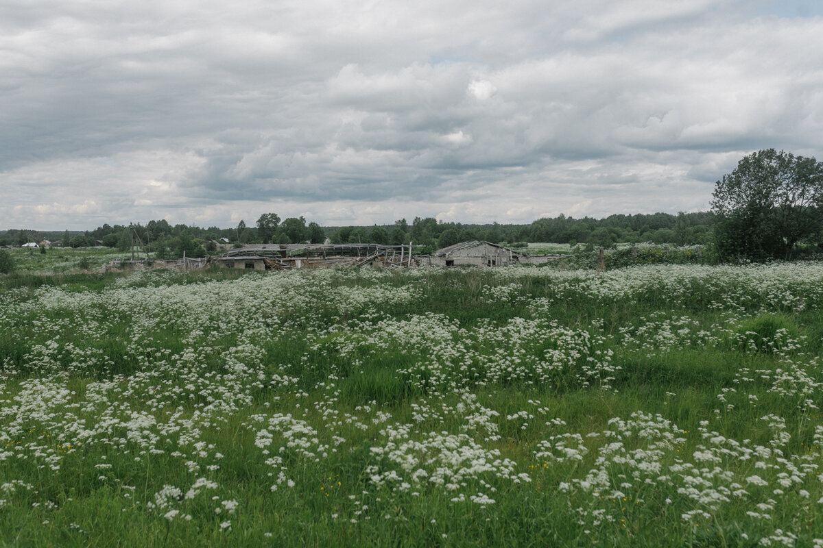 Заброшенная ферма в селе Кукобой Ярославской области Фото: Анна Шулятьева для ТД