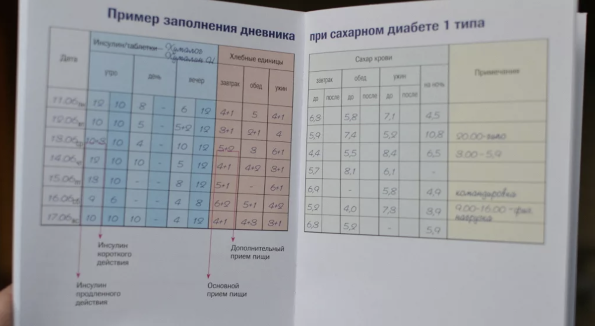 Без дневника даже не приходите. Почему 90% консультаций эндокринолога  просто бессмыслены | ДиаСпорт | Дзен