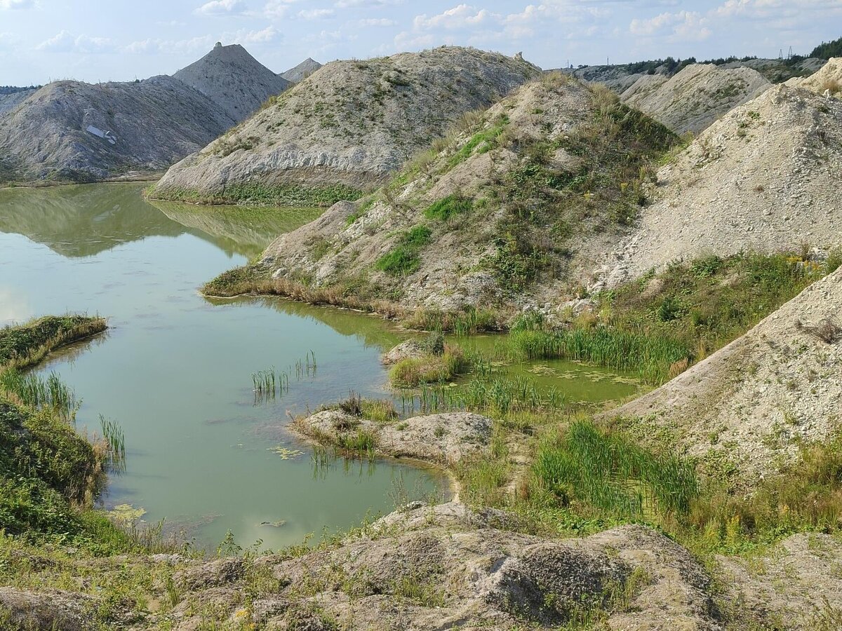 Брянские мальдивы где находятся. Брянские Мальдивы фото.