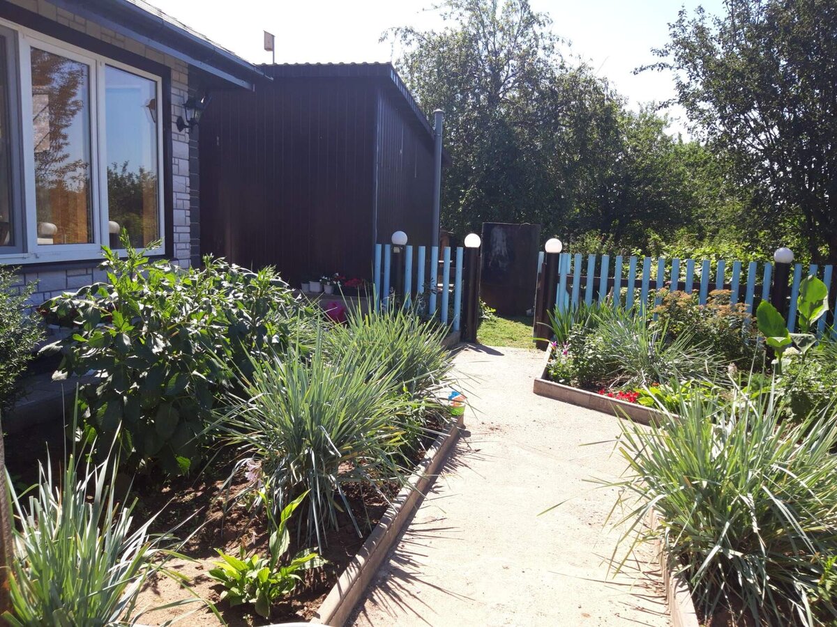 Утром, просыпаясь в своей деревенской усадьбе, я наслаждаюсь свежим воздухом и первыми лучами солнца, проникающими сквозь листву деревьев. Пью чай,заготовленный своими руками на веранде, наслаждаясь видом на цветущий сад.