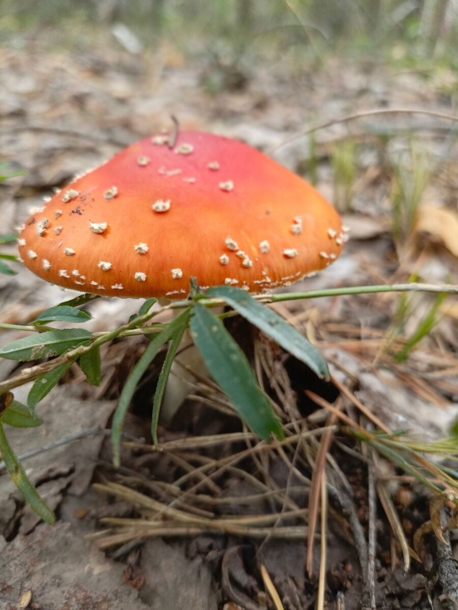 Такие красавчики встретились сразу