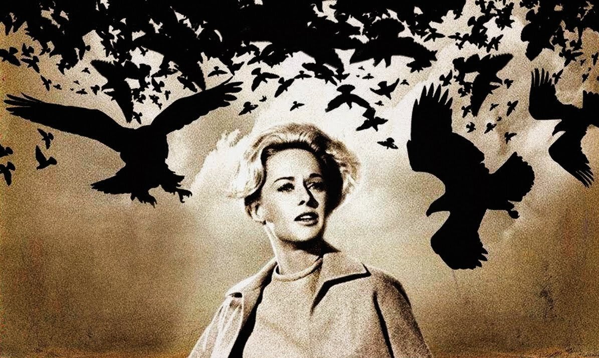 пиксар птички на проводе. наблюдение за птенцами. I am a bunny richard scarry купить. воробей из мультика. человек наблюдает за птицами.