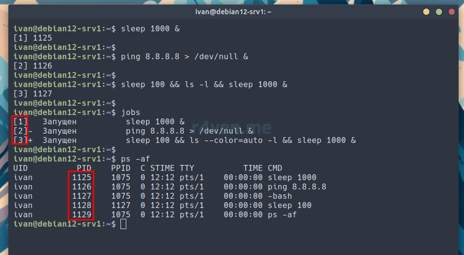 Linux команда процессы. Команда pkill deepin.
