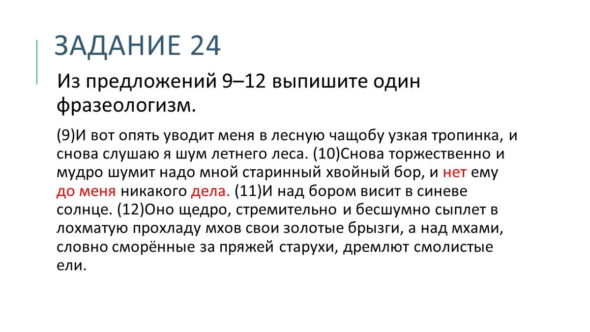 Подробный разбор Демо-версии ЕГЭ по русскому языку 2024 (2 часть) | Экзамен  - это про100 | Дзен