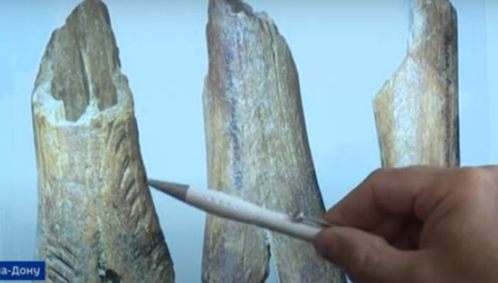 Источник фото: Дон-ТР