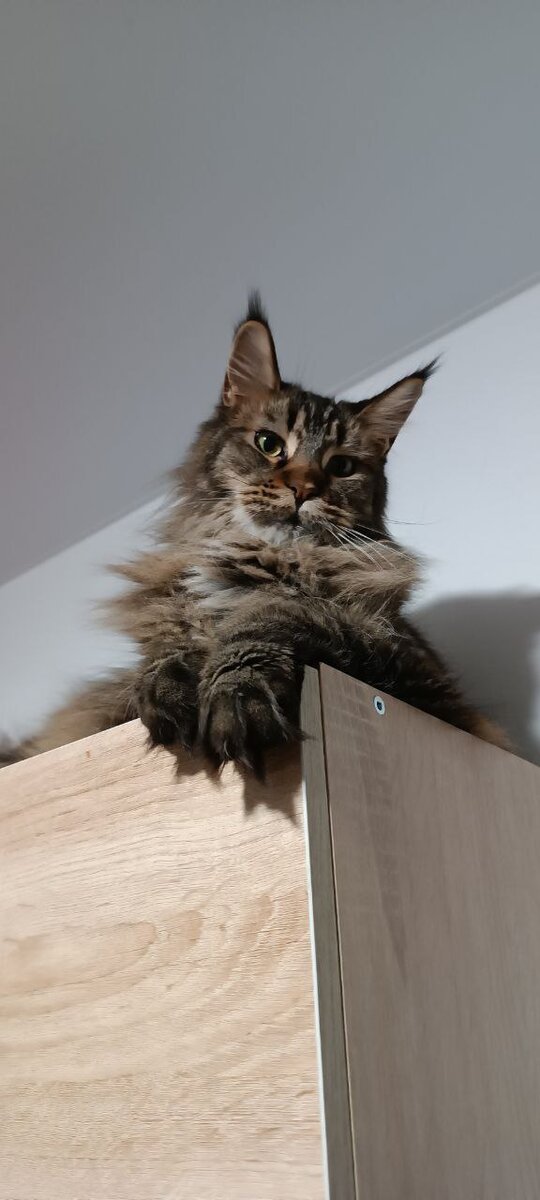 Высоко сидела. На нас смотрела