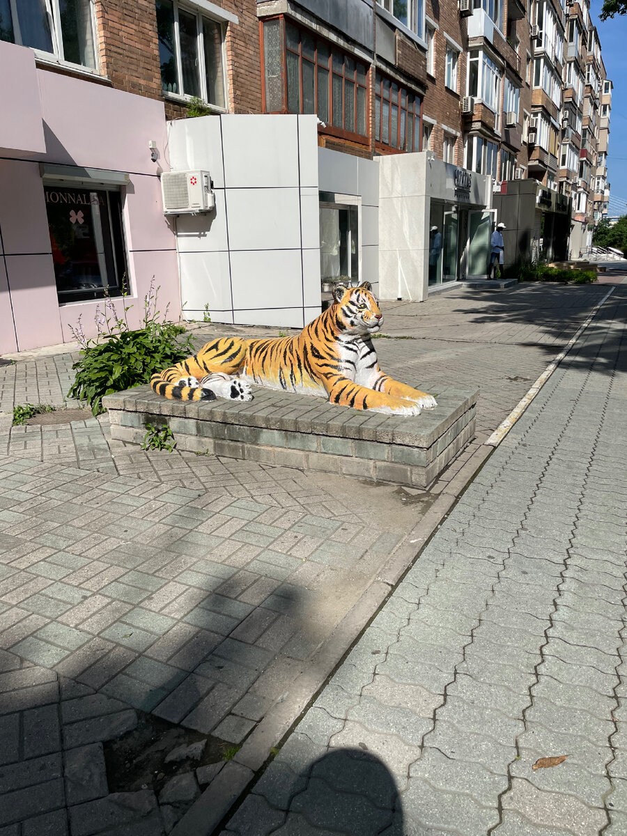 Полосатые гости Приморья. Маршрут по памятникам тигру во Владивостоке. |  Коллекция путешествий | Дзен