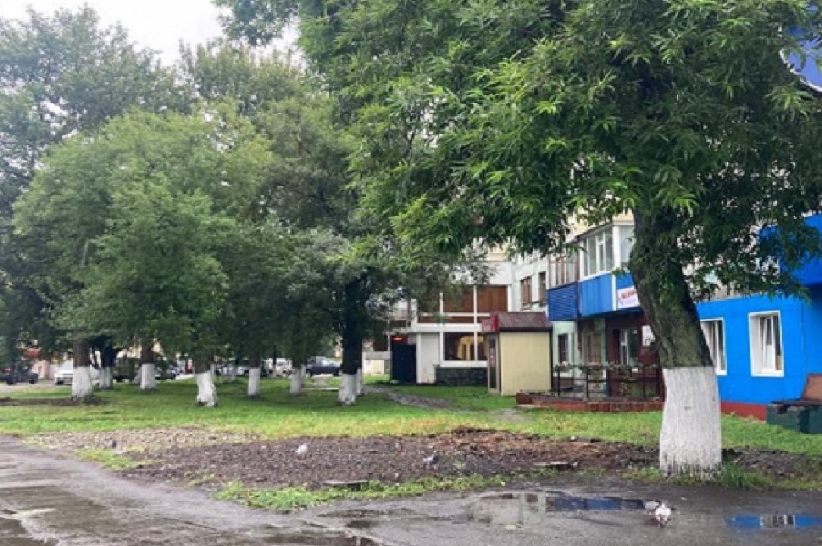    В столице Камчатки уберут павильоны на Войцешека и Тушканова