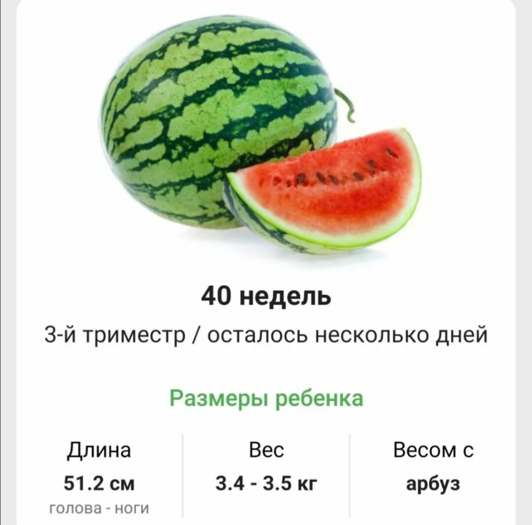 Изображение из общего доступа 