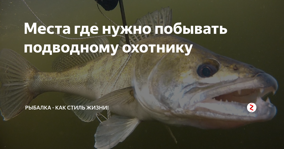 Места где нужно побывать подводному охотнику | Рыбалка - как стиль ...
