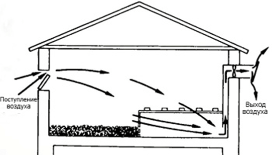 Приточно-вытяжная вентиляция в курятнике