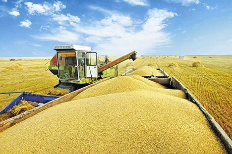 сбор урожая хлеба