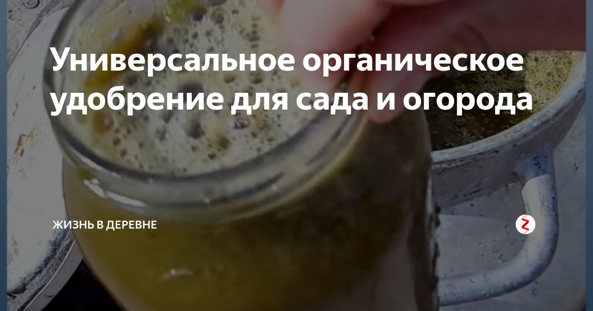 Универсальное органическое удобрение для сада и огорода | Жизнь в ...