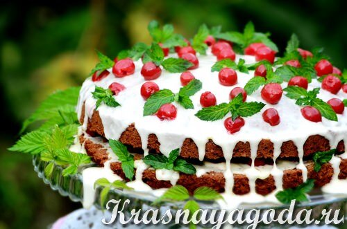 Торт  смотрится весьма презентабельно: пористые шоколадные коржи пропитаны  нежным сливочным кремом. На белом фоне выложен контрастный вишневый  узор.