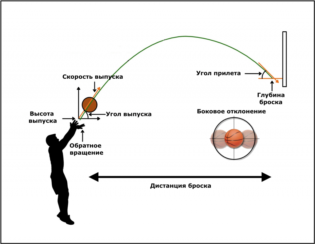 Чем определяется скорость высота и направление мяча. Траектория броска в баскетболе. Траектория баскетбольного мяча. Траектория полета мяча. Траектория полета мяча в баскетболе.