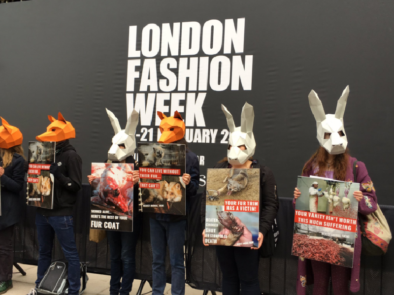 Акция протеста против натурального меха на London fashion week в феврале 2018 г.
Фото: yahoo.com
