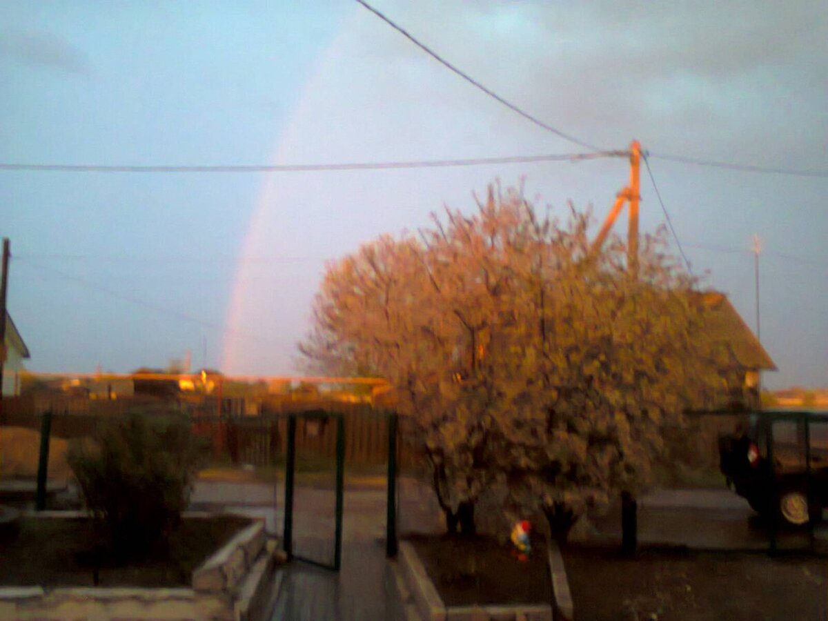 Это вид с крыльца у нас такой был