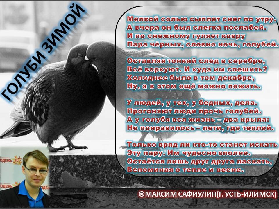 Голуби произведение. Стих про голубя для детей. Тургенев иван сергеевич голуби. Голуби произведение. Тургенев иван сергеевич голуби.