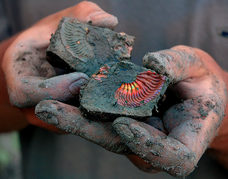 Фото взято из открытого источника.