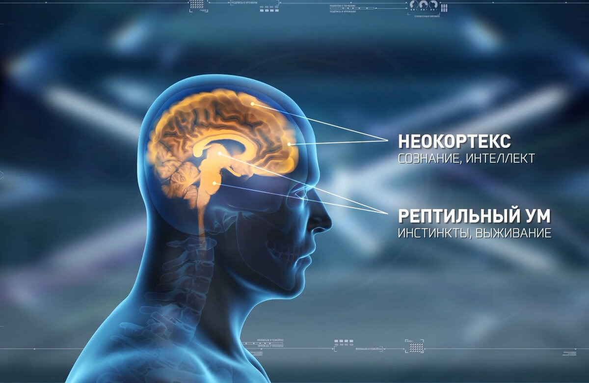 Мозг новый проект россии