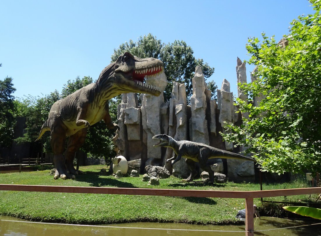 Dino park. Солнечный остров Краснодар Динопарк. Сафари парк Краснодар Динопарк. Сафари парк Краснодар динозавры. Парк динозавров Краснодар Солнечный.