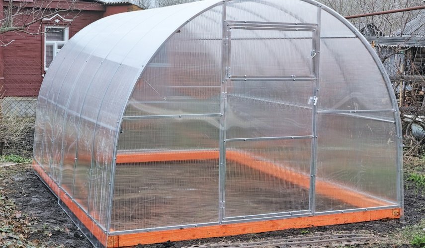 Фото: 1agronom.ru