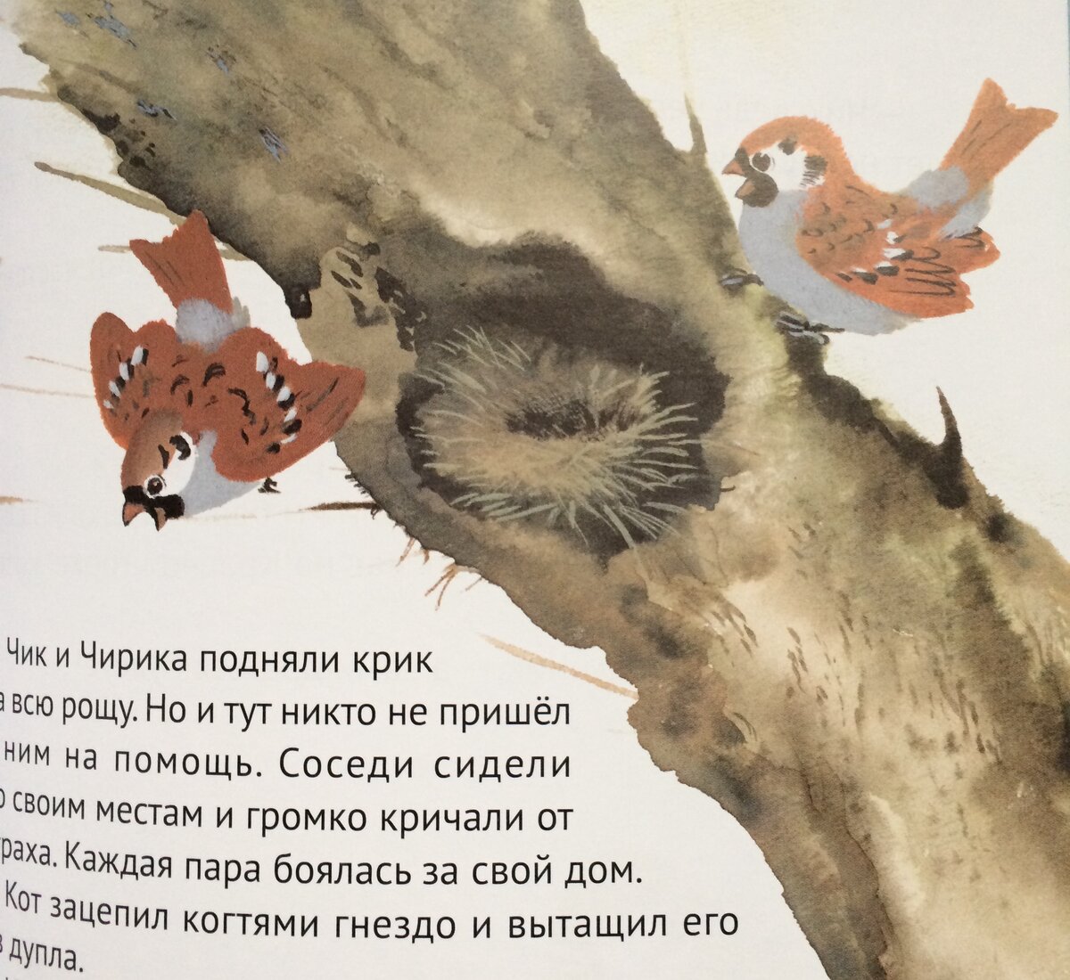 -2