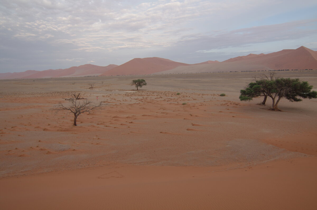 Desert day. Древний Магриб Оазис. Самая большая пустыня в мире. Самая опасная пустыня.