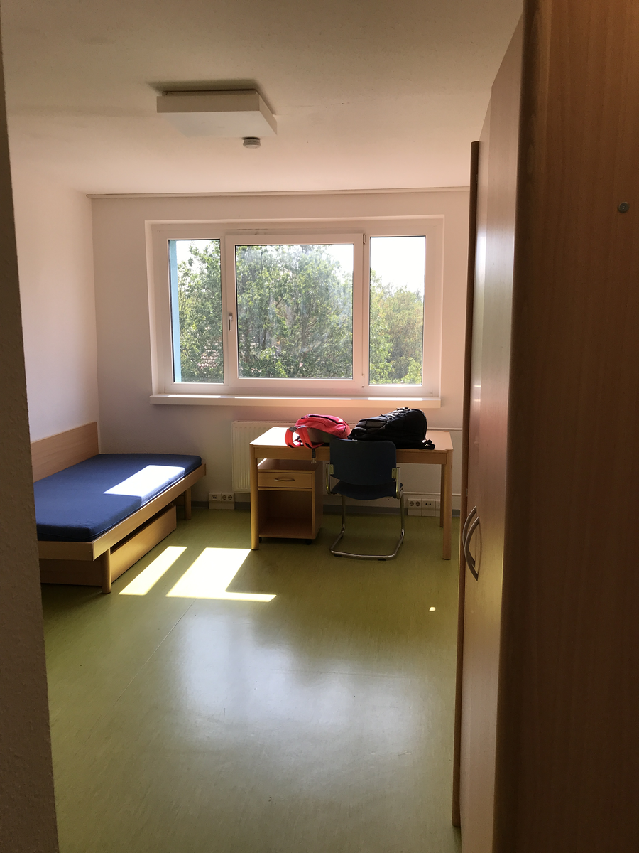 Его ведёт Фрау ***** – энергичная и ответственная, я бы так её описал. На уроках всегда работаем, выполняем задания, выписываем разные грамматические моменты и интересные выражения. В общем, изучаем язык. Прогресс есть — я доволен. Всегда дз в достаточном количестве, и ***** требует, чтобы мы его выполняли. Даже не смотря на то, что в противном случае наказать она никак не может и оценки никак не занизит, разве что скажет «Machen Sie bitte ihre Aufgabe. Das ist für Sie, nicht für mich”.