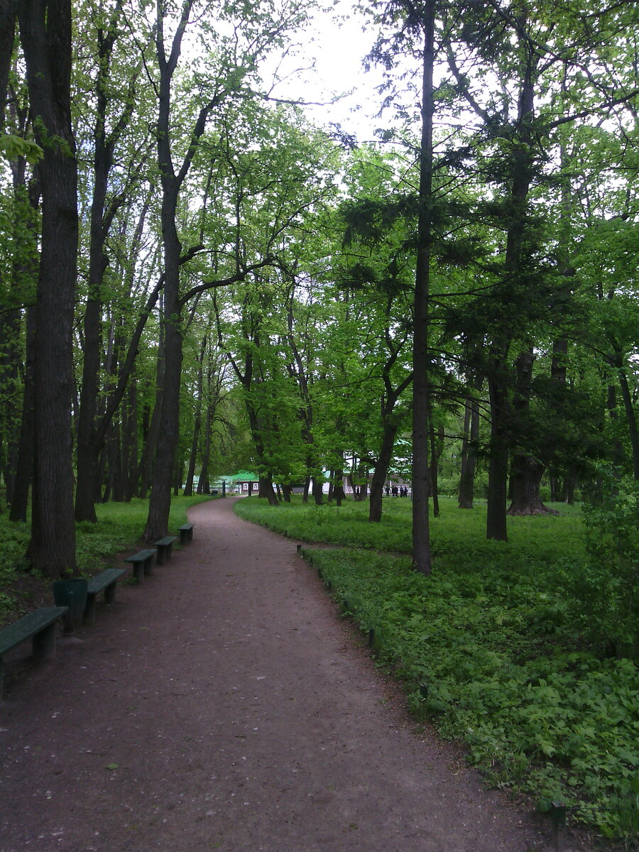 Ясная Поляна парк