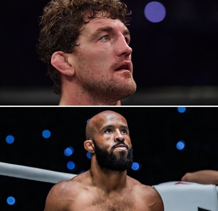 Фотография взята из открытых источников.