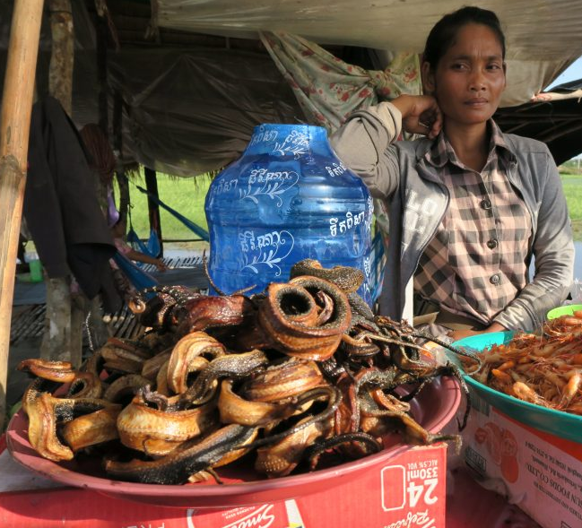 фото travelariomru.tumblr.com/post/155750065537/в-камбодже-едят-змей