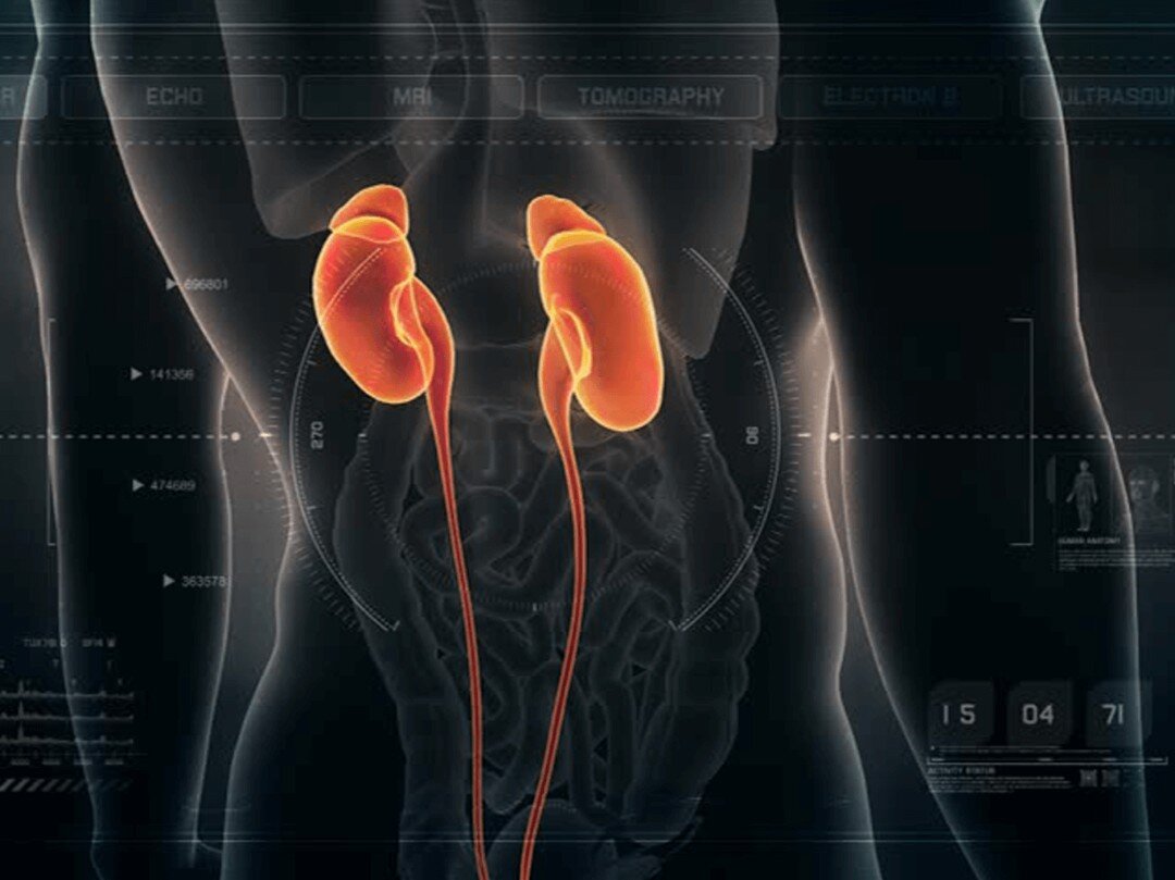 Источник: Яндекс. Картинки