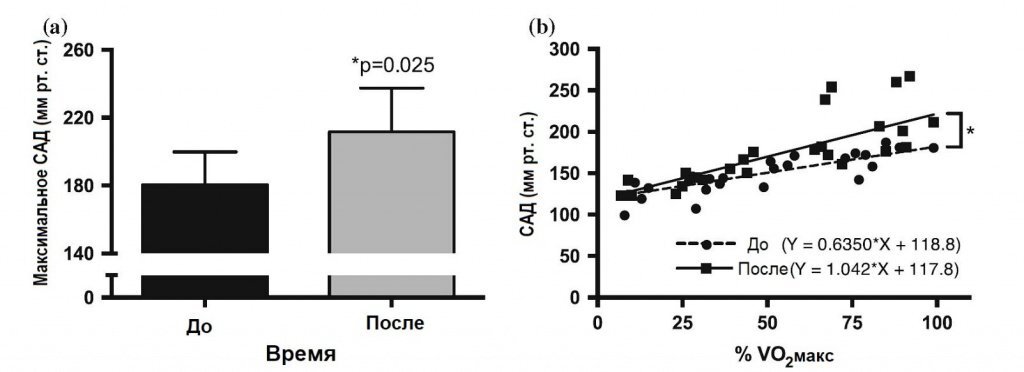 Давление после физической нагрузки повышается. Почему при физической нагрузке падает давление. Изменение артериального давления при физических нагрузках. Ад после физической нагрузки. Почему при физической нагрузке падает давление.
