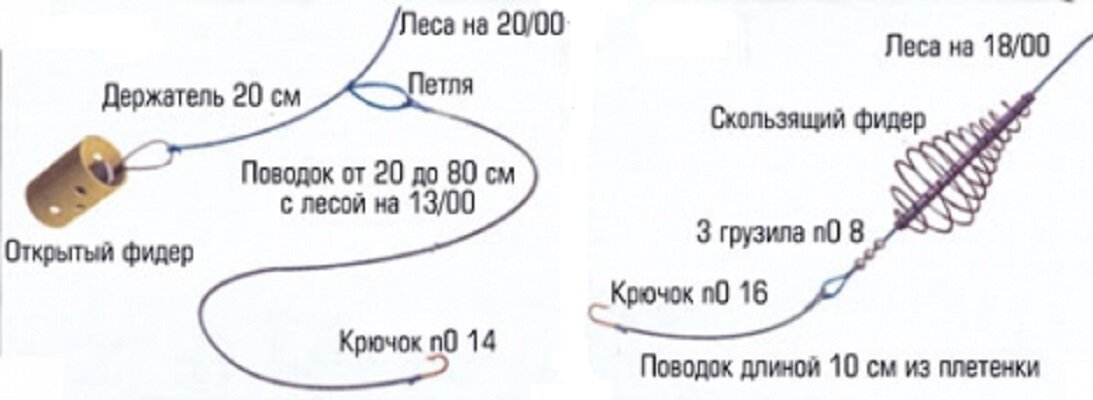Фото - яндекс.картинки