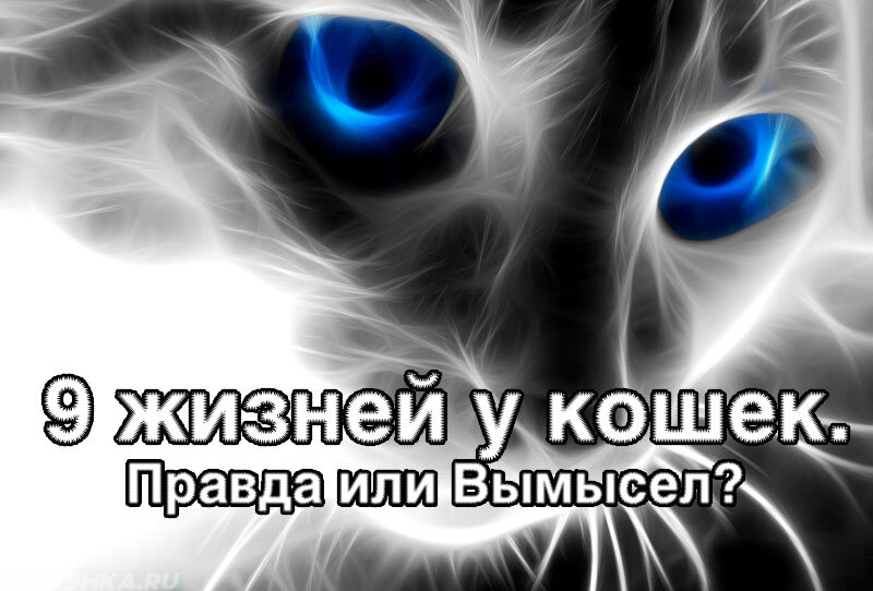 фото с просторов интернета