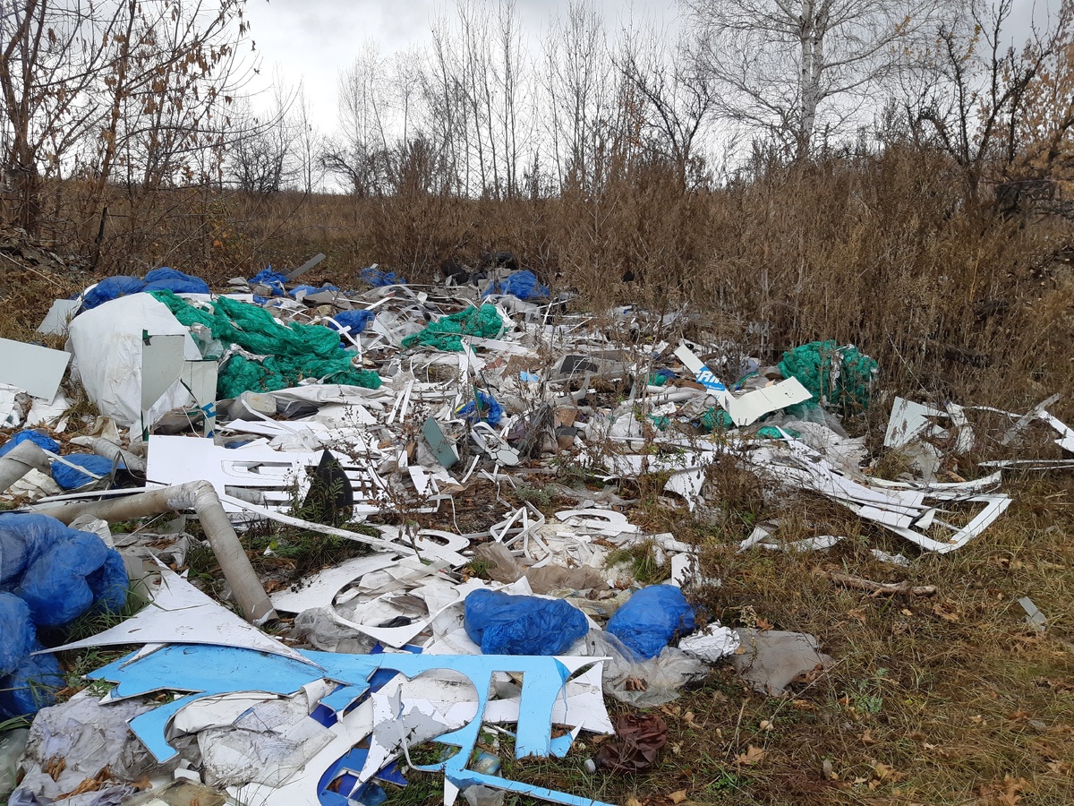 На лоне природы