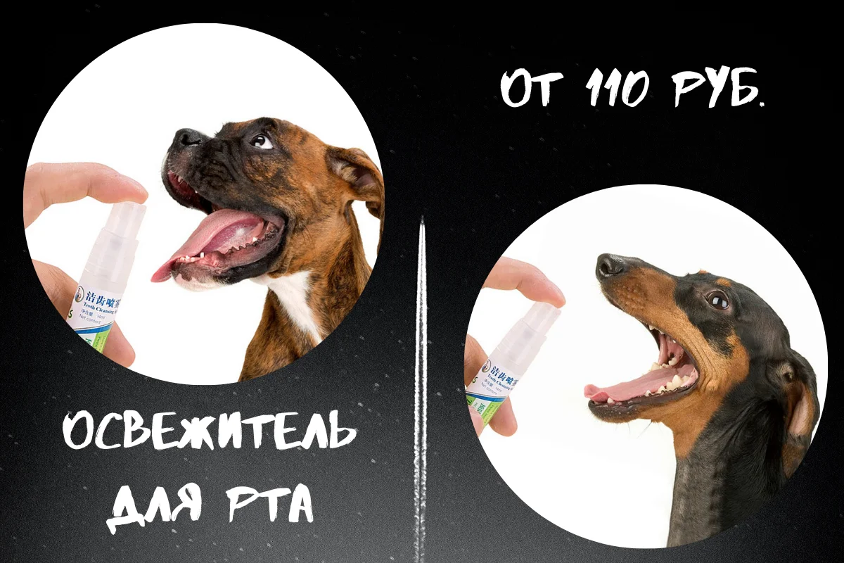 Освежитель для полости рта собаки.