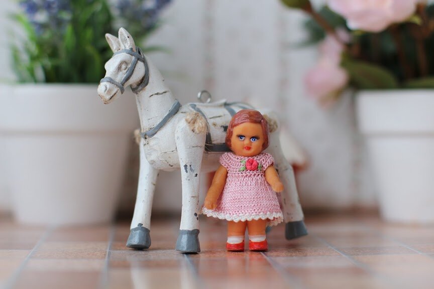 Крохотная Аришка приехала совсем недавно и про нее я еще напишу, но уже в Новом 2020 году.