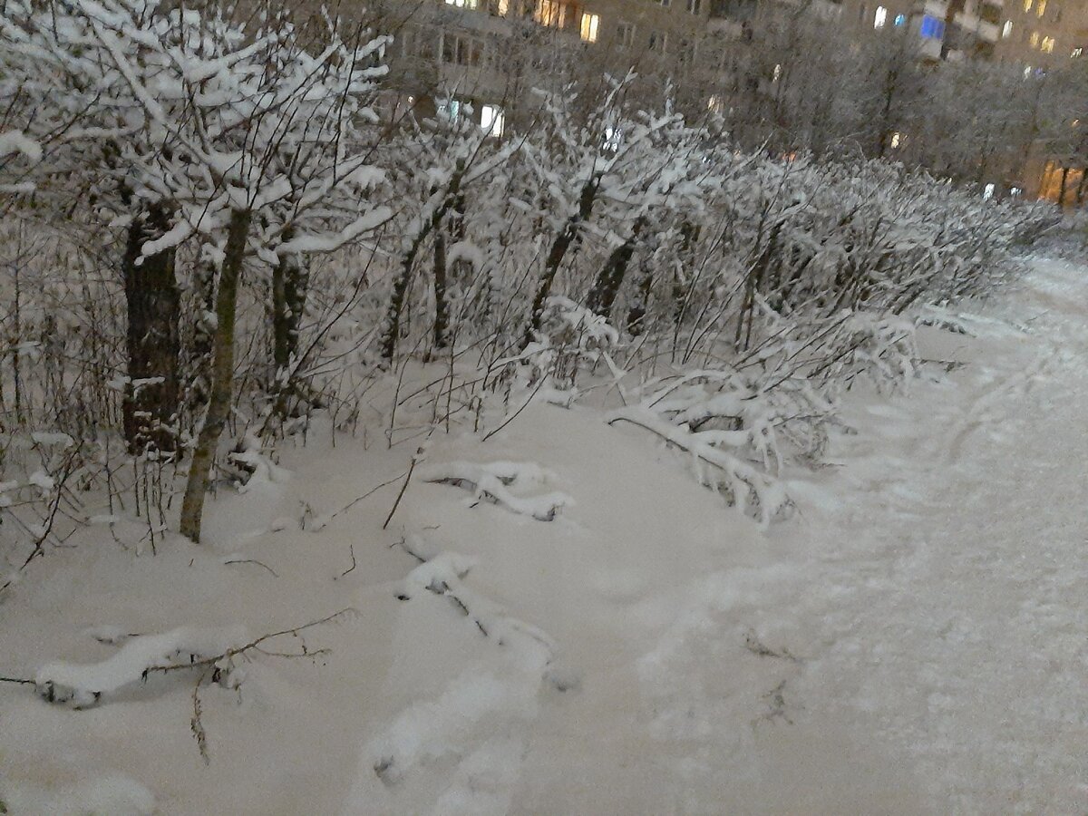 С погодой нам повезло необыкновенно