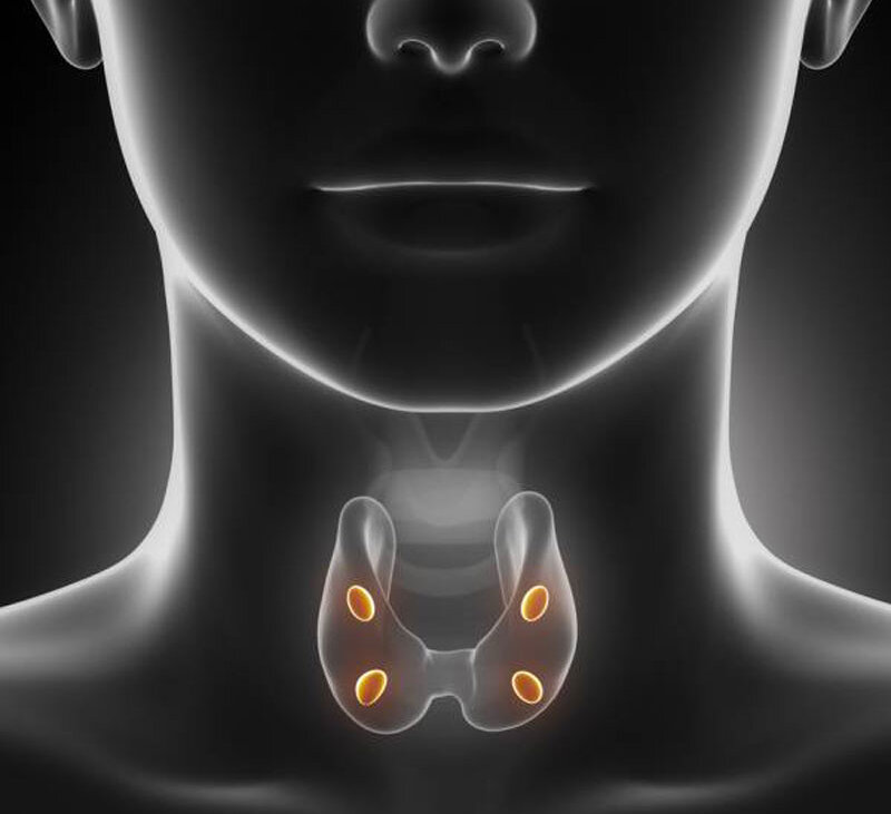 Щитовидная железа гормоны лечение