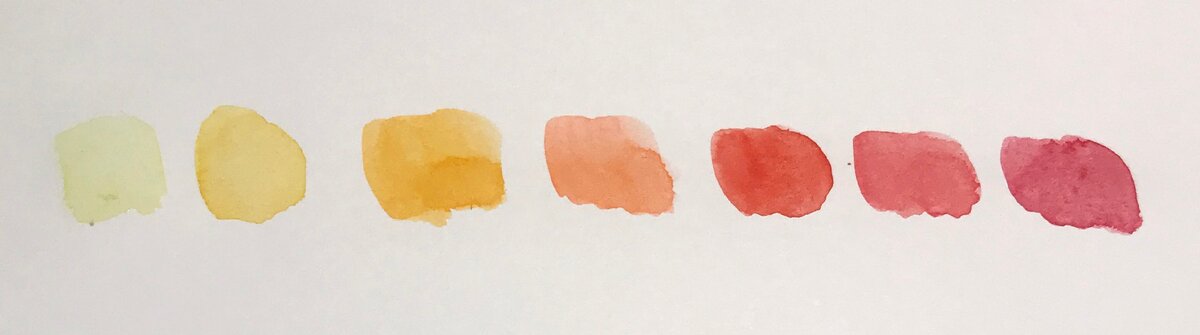 Теплые цвета