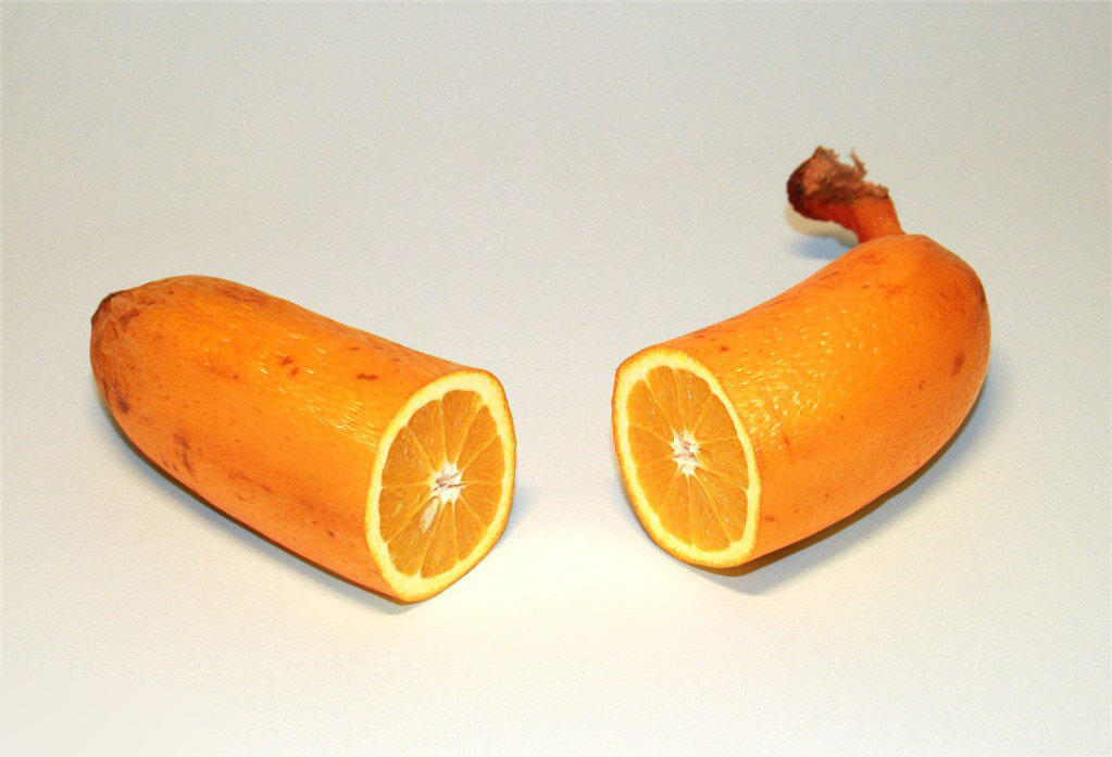 Лимон апельсин грейпфрут киви. Киви и грейпфрут. Фрукты бананы мандарины. Мандарин и банан. Фрукты банан.