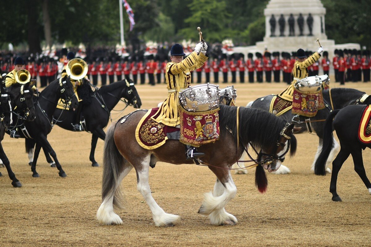 Королевский парад. Horse Guard Лондон. Лошадь на параде. Королевская конница. Конница на параде.