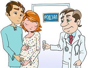 Яндекс картинки 