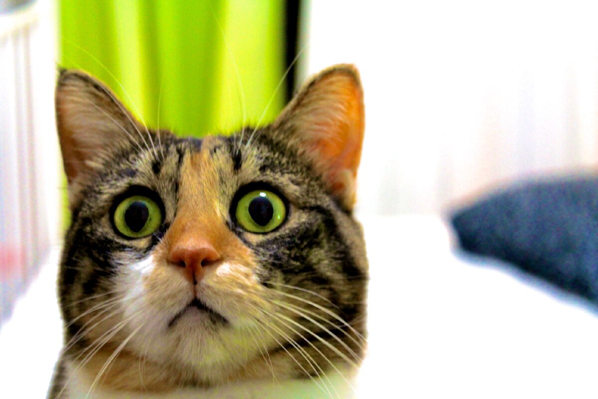 Источник: Яндекс картинки