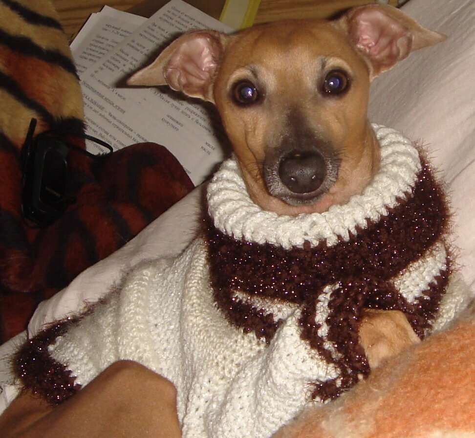 Как раз тот самый сезон холодов и дождей, когда холодно и дома, и на улице.