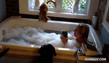 Ах ты водолаз 