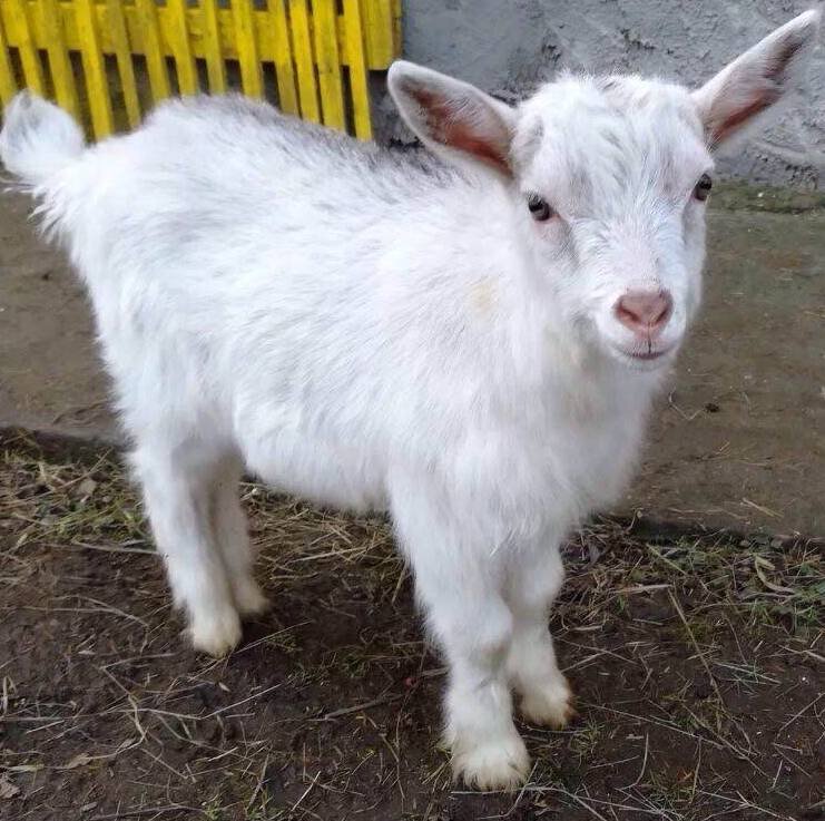 Фото авторов