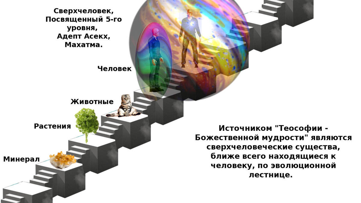 177. Эволюционная лестница с различными царствами Природы (изображение со свободной лицензией c сайта pixabay.com)